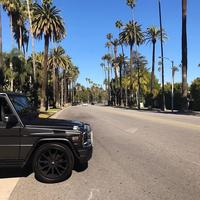 Отзыв от Вадим - DTV виза